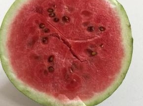 准备半个西瓜。