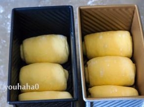 醒发后的面团拍扁、上下擀开擀长，自上向下卷起，捏紧收口，依次放入吐司模具中。