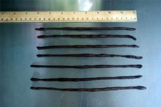 制作西瓜籽，将7个3克的可可面团分别搓成21厘米的棒状（模具25厘米长，略短即可）。