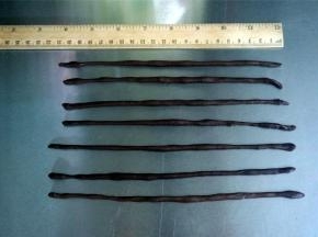 制作西瓜籽，将7个3克的可可面团分别搓成21厘米的棒状（模具25厘米长，略短即可）。