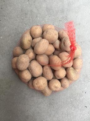 这就是在网上买的高山洋芋，个头小小的，正适合哦！