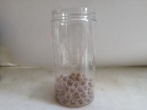 杯子里先放入红豆珍珠。