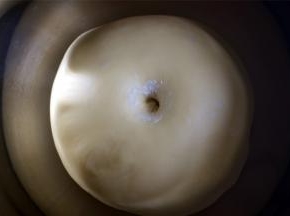 手指压进面团，不明显回弹即可。