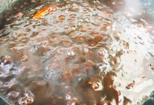 大火将食材煮开，煮的时候要随时翻炒酱料，将酱料与油融合在一起，后改中小火熬制酱料30分钟左右。