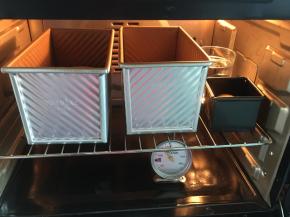 烤箱中放入1杯开水后按保温键，保持烤箱温度在38℃，再放入吐司胚子到烤炉中进行二次发酵（50分钟左右），发至如图即可