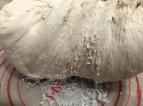 揉好的中种面团揉圆放在料理碗中，盖上保鲜膜，室温下发酵至两倍大，
扒开面团有蜂窝状即可