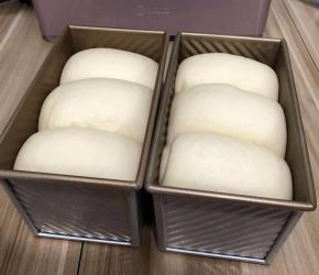 发至8分满，白白胖胖的