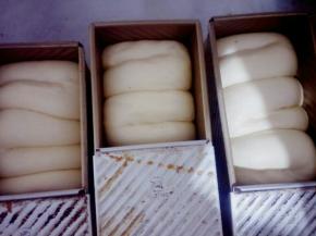 发好的面包，九分满