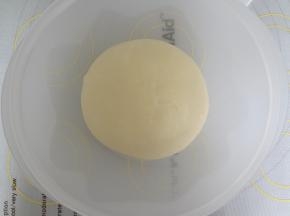 稍微整理好放入发酵碗中盖上保鲜膜开始基础发酵，一发室温26度发酵50分钟