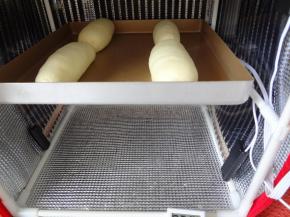 放入发酵箱中开始二发，36度40分钟具体看状态，轻按表面指窝回缩缓慢就可以了