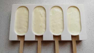 再将晾凉的奶糊倒入模具，轻轻震几下震平表面，然后放入冰箱冷冻过夜；
