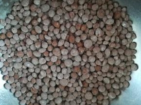 搓好的小珍珠放上木薯粉干防粘