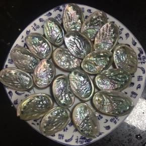 鲍鱼壳用牙刷刷洗干净，整齐的摆在盘子里备用。