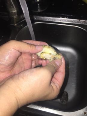 鲍鱼放在沸水中焯水1分钟，取出鲍鱼肉，去掉里面的内脏，冲洗干净。