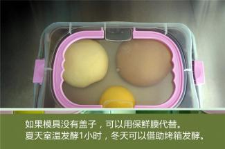 盖上盖子或保鲜膜，夏天室温发酵1小时左右，冬天可以借助烤箱发酵，发至两倍大即可。