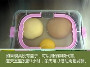盖上盖子或保鲜膜，夏天室温发酵1小时左右，冬天可以借助烤箱发酵，发至两倍大即可。