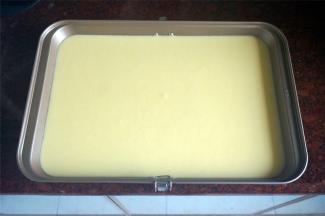 将搅打完的面糊全部倒入长方形深烤盘中，刚好一盘七八分满的。