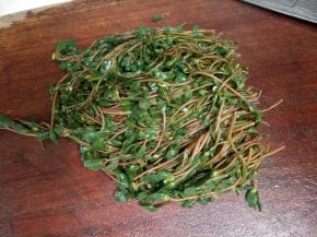 摘去老的部分，留下嫩的。