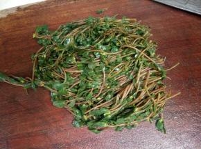 摘去老的部分，留下嫩的。