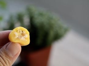 南瓜肉的，鲜美。这款成品8克，十分精细。