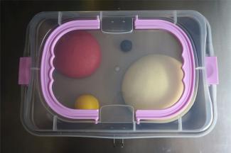 盖上盖子或保鲜膜，放到温暖处进行第一次发酵，发酵至两倍大左右。