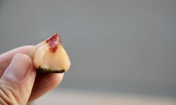 甜味：加入糖的寿桃，很好吃，不比年糕、御洗团逊色哦。