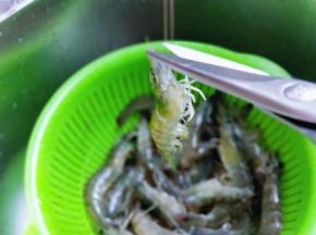 处理虾了呦～剪掉虾须头。