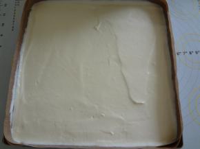 混合好的蛋糕糊从高处倒入铺好油布的烤盘中，用刮板刮平轻轻震出气泡