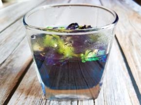 用开水冲泡蝶豆花