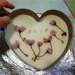 取出凝固的蛋糕，用热毛巾敷在模具外面，即可轻轻将模具取出。