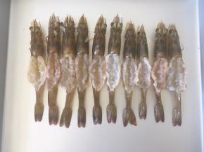 烤箱预热上火190度，将腌制好的虾排在烤盘内。
