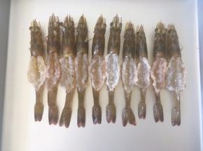 烤箱预热上火190度，将腌制好的虾排在烤盘内。
