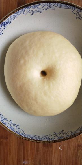 揉好的面团密封温暖处发酵至两倍大