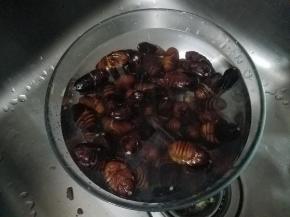 先用清水冲洗干净。