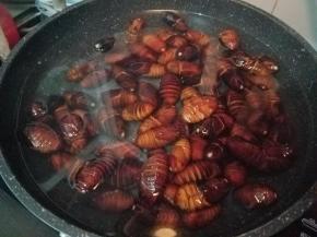 倒入蚕蛹，用水轻轻的焯一下。