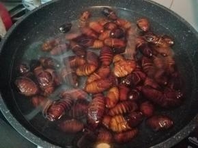 倒入蚕蛹，用水轻轻的焯一下。