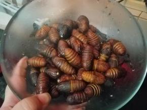 大碗装好备用。