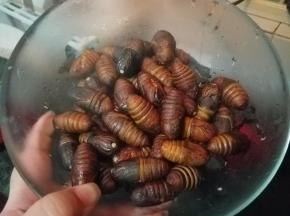 大碗装好备用。