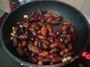 加入焯好的蚕蛹。