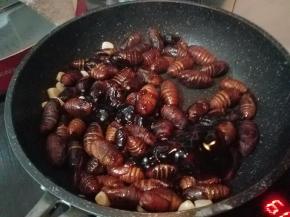 倒入耗油，翻炒均匀。