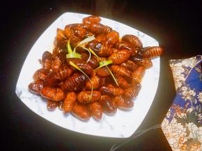 装盘，来点小葱点缀下，一道家常炒蚕蛹就可以了。