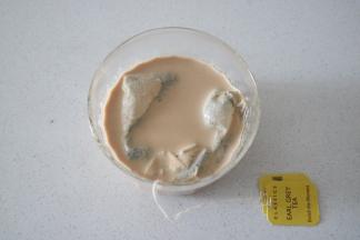 然后烤制蛋糕，牛奶加热放入两个茶包，泡10分钟左右