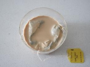 然后烤制蛋糕，牛奶加热放入两个茶包，泡10分钟左右