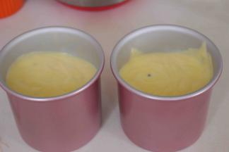 将搅拌均匀的蛋糕糊倒入模具，震出气泡，放入烤箱，160度45分钟，