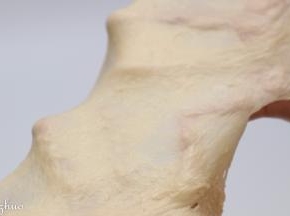 揉至图上状态即可。