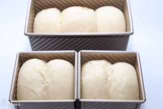 发酵好的面团，无需盖盖，如果你打算盖，可缩短发酵时间，至8分满就可盖盖。表面可以刷上蛋黄液或是牛奶，撒上芝麻。（随个人喜好）