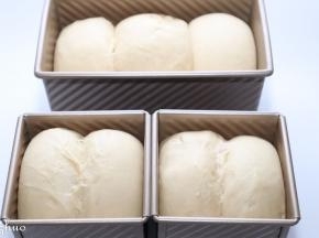 发酵好的面团，无需盖盖，如果你打算盖，可缩短发酵时间，至8分满就可盖盖。表面可以刷上蛋黄液或是牛奶，撒上芝麻。（随个人喜好）