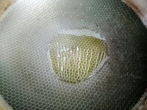 锅烧热放少许油