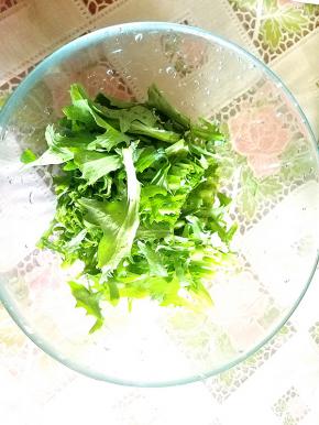 苦菊洗净后用刀简单几刀切小段。