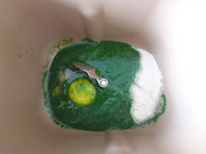 加入酵母和鸡蛋